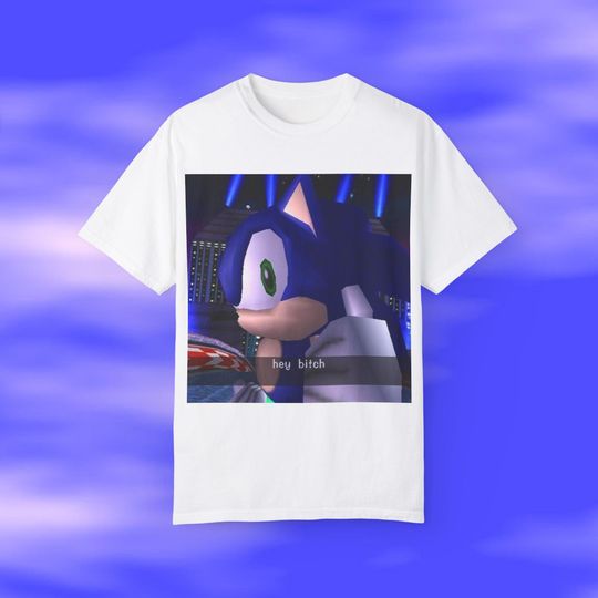 Discover Sonic The Hedgehog, Sonic Hey B*tch Shirt, Funny Sonic Shirt, Hedgehog Japanese shirt