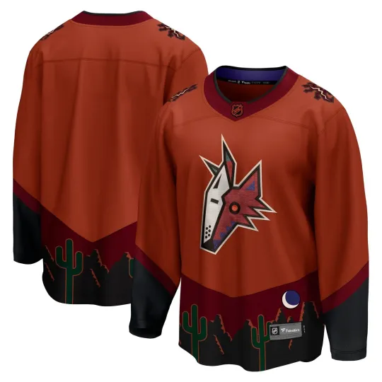 Discover Arizonna Special Premier Breakaway Reverse Retro Jersey