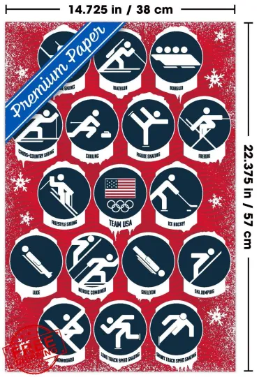 Discover Team USA 2026 Winter Olympics Milan Pictograms Wall Poster Unframed