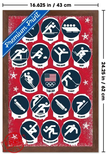 Discover Team USA 2026 Olympics Wall Poster 22.4"x14.7" Mahogany Framed