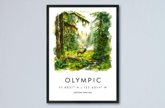 Discover Olympic Watercolor Poster Olympic Travel Print Washington Wall Art Olympic National Park Decor Forest Coast Mountain Scene Landscape Print