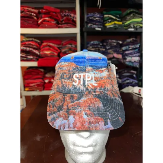 Discover Staple Brick Hat Canyon Rocks AOP Pigeon Logo Graphic Panel Cap