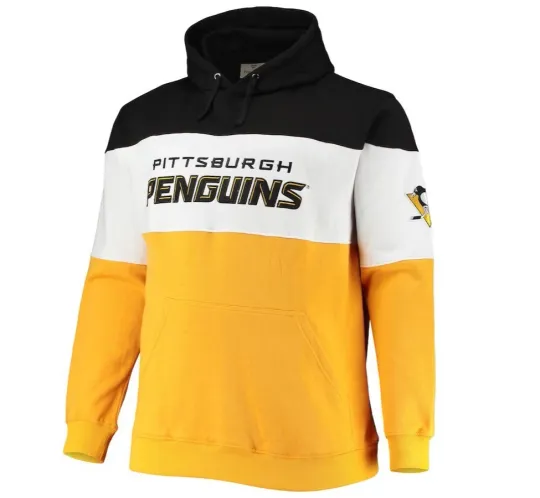 Discover Pittsburgh Hooded Sweatshirt New