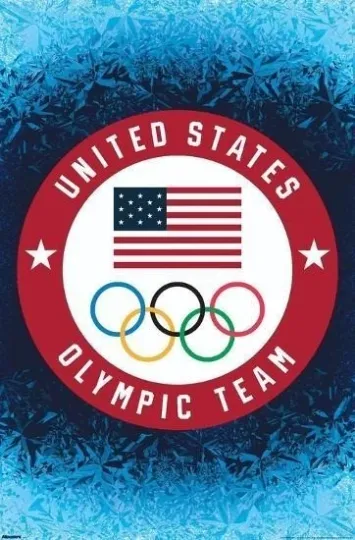 Discover Team USA 2026 Winter Olympics Milan Logo Poster 18x24