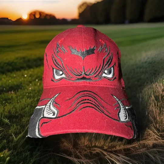 Discover VTG Tail Gate’N Gear Arkansas Razorbacks Embroidered AOP Mascot Strapback Hat