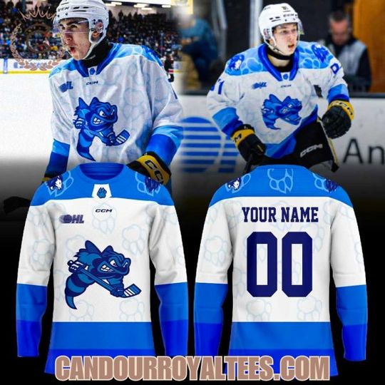 Discover Sarnia Sting Lionss night at the Hive Hockey Jersey
