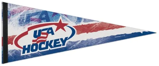 Discover TEAM USA Hockey Premium Felt Collector's Pennant