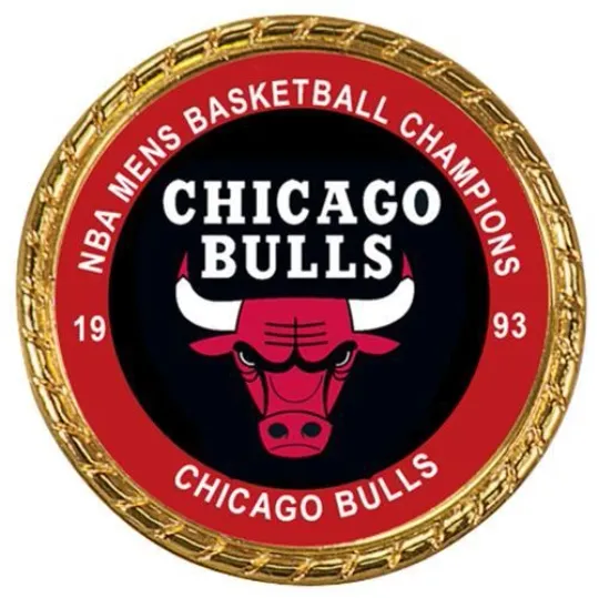 Tribute Coin Chicago Bulls 1993 NBA Basketball Champion Champions