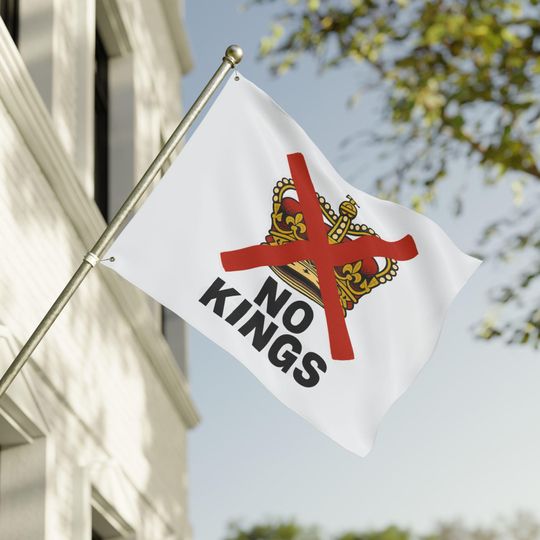 Discover No Kings Flag: Political Protest Banner