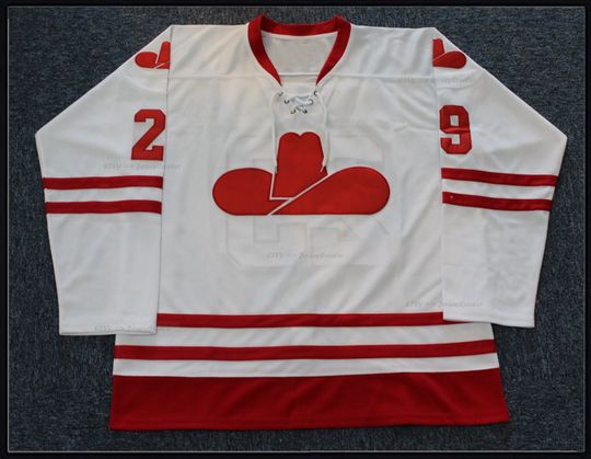 Discover 70's Gary "Bones" Bromley #29 Calgary Hockey Jersey Top ;Youth/Adult Size;Custom Any Names