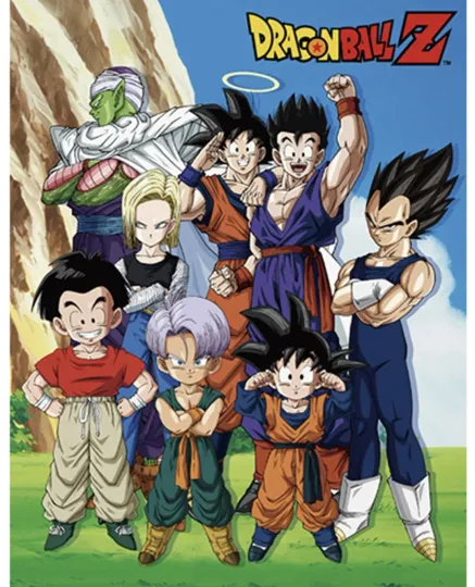 Dragon Ball Z Group Sublimation Fleece Blanket