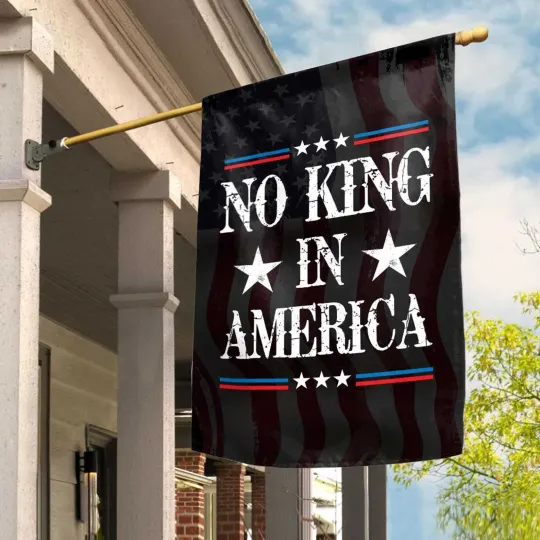 Vintage No Kings In America Protect Democracy Resist Hate Flag