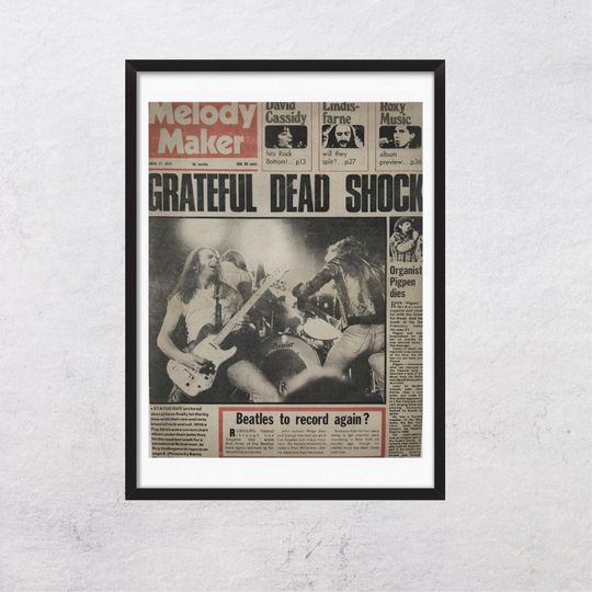 GRATEFUL DEAD 1973 - First Magazine Page - Vintage Music Wall Art