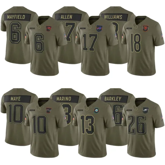 Discover Men's All Players Olive 2025 Salute to Service Limited Jersey