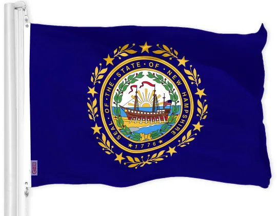 Discover G128 New Hampshire State Flag 3x5 Ft Printed 150D Polyester - Indoor/Outdoor