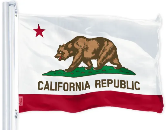 Discover California CA State Flag 3x5 FT Printed 150D Polyester Golden State By G128