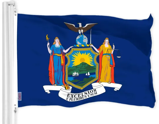 Discover G128 New York NY State Flag 3x5 Ft LiteWeave Pro Series Printed 300D Polyester