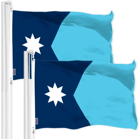 Minnesota State Flag Printed Polyester House Flag