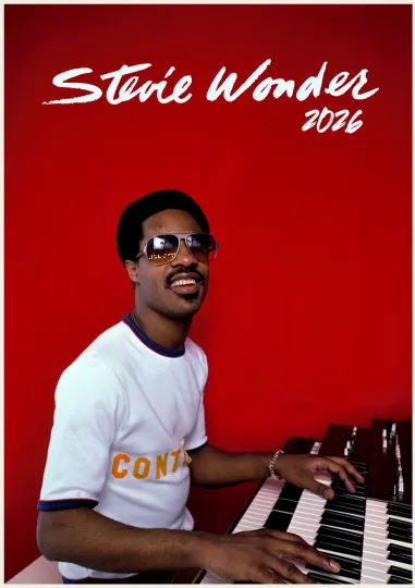 Discover 2026 Stevie Wonder Vintage Music Poster Vertical Poster Premium Matte