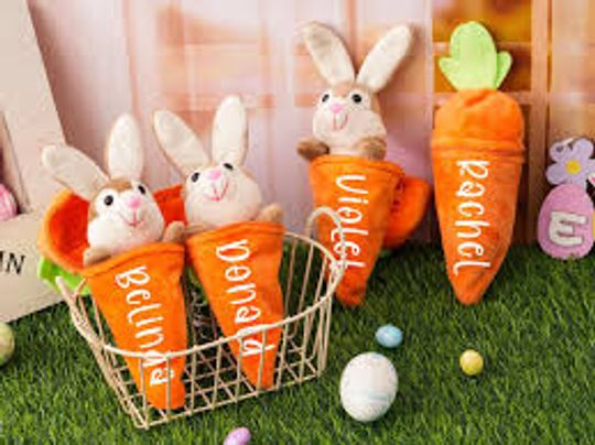 Explore Carrot Bunny Plush Keychains