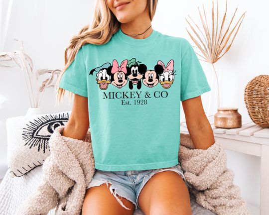 Discover Disney World boxy Shirt - Disney vintage comfort colors - Hollywood studios shirt - comfort colors boxy tee - mickey co friends disneyland