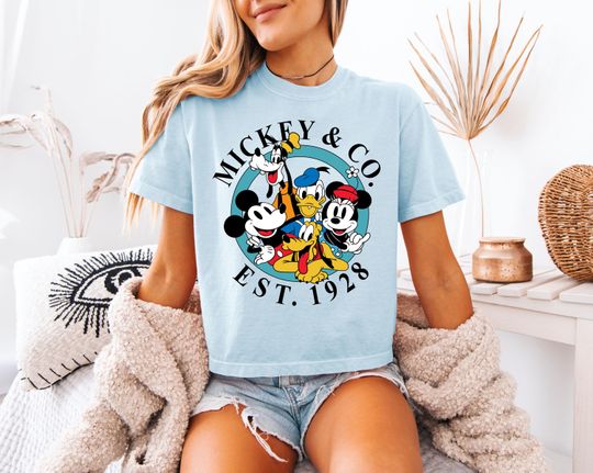 Discover Disney World Women's Boxy T-Shirt - Vintage Comfort Colors Mickey Magic Kingdom Hollywood Studios