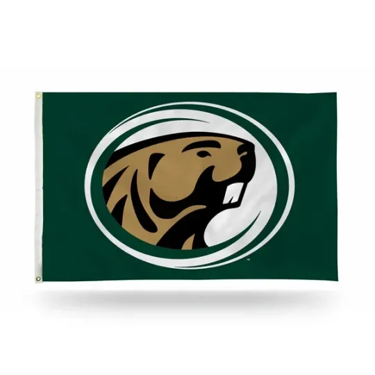 Discover Bemidji State Beavers Team Logo Flag  House Banner