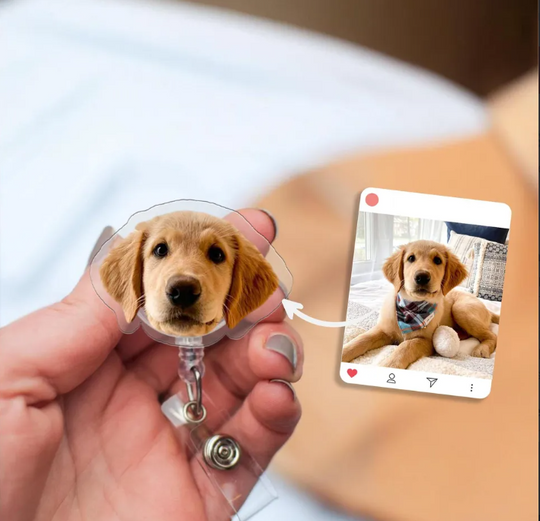 Explore Badge Reels
