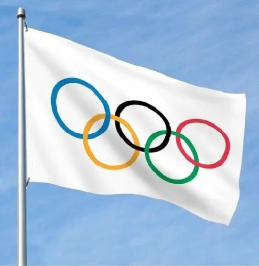 Discover Olympics Flag Banner, 100D Spun Polyester with Grommets