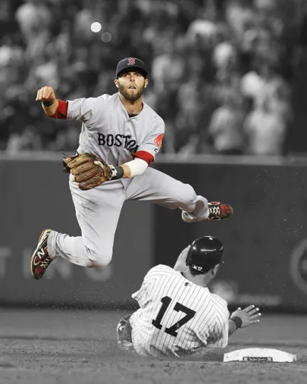 Discover Boston Red Sox Dustin Pedroia Glossy Photo Baseball Poster