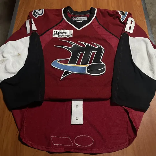 Discover Game Worn Bryan Marshall Cleveland Lake Erie Monsters AHL Hockey Jersey