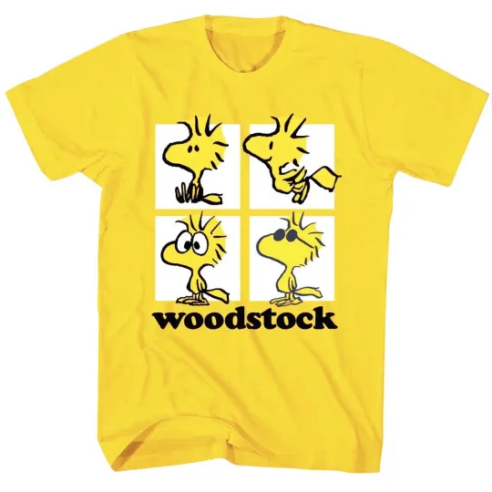 Discover Peanuts Woodstock Squares T-Shirt