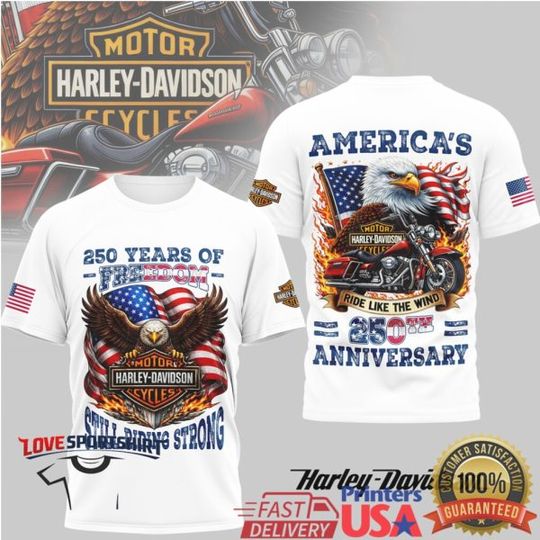 Discover Davidson America’s 250th Anniversary Eagle Rider T Shirt