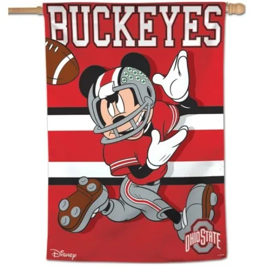 Discover OHIO STATE BUCKEYES MICKEY MOUSE DISNEY 28"X40" HOUSE FLAG OR WALL BANNER