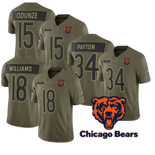 Discover Men's Bearss Olive 2025 Salute to Service Limited All Printed Jersey