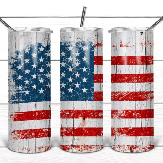 Discover Americana 20oz Insulated Tumbler with Lid and Straw