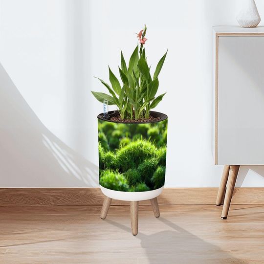 Discover Retro 70s Scandi Planter with Wooden Legs
