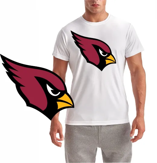 Discover Arizonna Football Performance T-Shirt