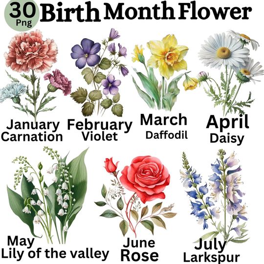 Discover PNG Birth Month Flowers Clipart, Watercolor Floral PNG, Birth Month Flower Bundle, Birthday Clipart, Digital Floral Set, Instant Download