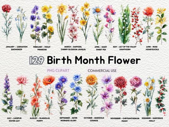 Discover Watercolor Birth Month Flower Clipart, Birth Month Flower Art Illustrations, Birthday Celebration, Floral Illustration,Birthday Decor, DIY