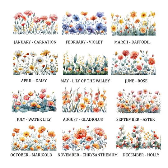 Discover Watercolor Birth Month Flowers Clipart Bundle (PNG SVG JPG Digital Download)