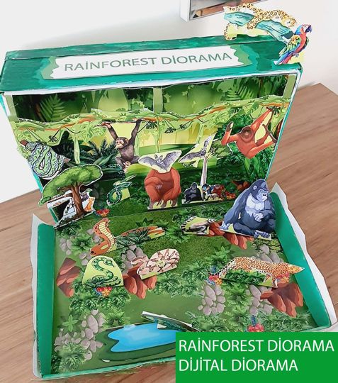 Discover Printable Shoebox Diorama Rainforest: Tropikal Animals Habitat  Project For Kids Kit Dijital File
