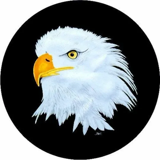 Discover American Bald Eagle Spare Tire Cover