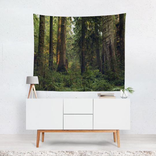 Discover Olympic Rain Forest Tapestry, Cedar Trees, Lush Greenery