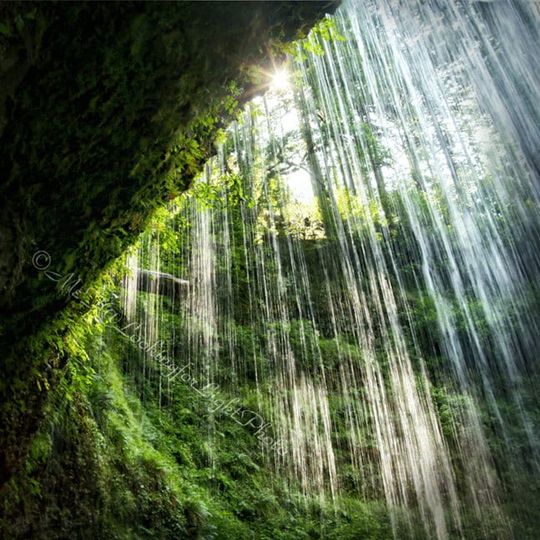 Sunlight Waterfalls Art | Green Rain Forest Print | Rainforest Wall Decor | Waterfalls Photo | Silver Falls State Park | Oregon Nature Print