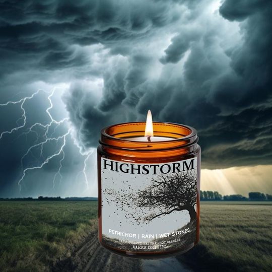 Discover Highstorm soy candle, Petrichor, summer true rain, storm, bookish candle, book lover candle, literary gifts, spring, summer, reading weather