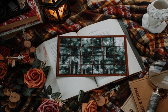 Discover Horizontal Forest Window | Rainy Summer Print