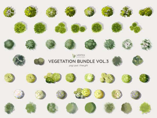 Discover Vegatation Bundle vol3 | Watercolour Trees, Shrubs, Plan Tree | PNG, PSD | Architecture and Design | Free Gift