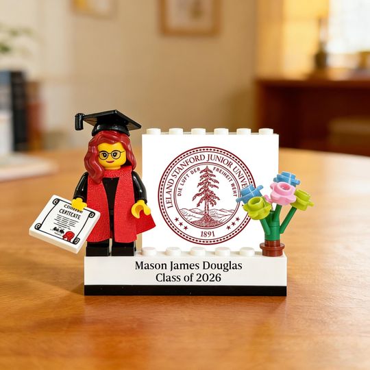 Personalized Graduation Minifigure with Custom Display Case | Custom Mini Figure | Graduation Gift for Him/Her | Graduate Keepsake