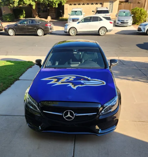 Baltimore Ravens Auto Hood Cover